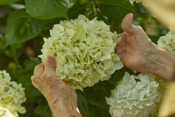 dementia hands